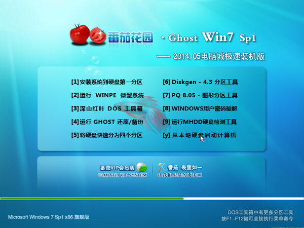 番茄花园 GHOST Win10  X32电脑城装机版(32位)2014.05 系统下载