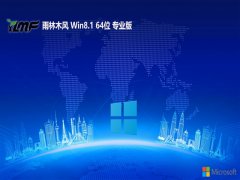ľwin8.1⼤64λپ԰v2025.05