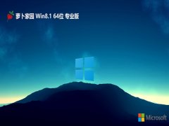 ܲ԰win8.164λЯƷv2024.05