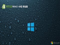 <font color='#FF0000'>ײwin8.1 64λǼv2025.05⼤</font>