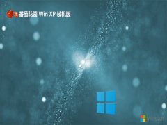 ѻ԰v2025.05ghost XP3 ͨü