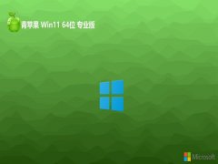 ƻϵͳ⼤win11 64λѡv2024.05