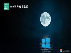 ʿ⼤win11 64λؼv2024.05