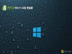 ײwin11⼤64λƷذv2025.05