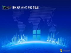 ľ⼤win10 64λרעv2025.05