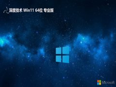 ȼ⼤win11 64λŰv2025.05
