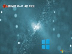 ѻ԰win11 64λv2025.05⼤