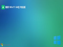 <font color='#000099'>̲ϵͳwin11 64λرv2025.05</font>