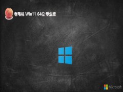 <font color='#333333'>ëwin1164λƷv2025.05</font>